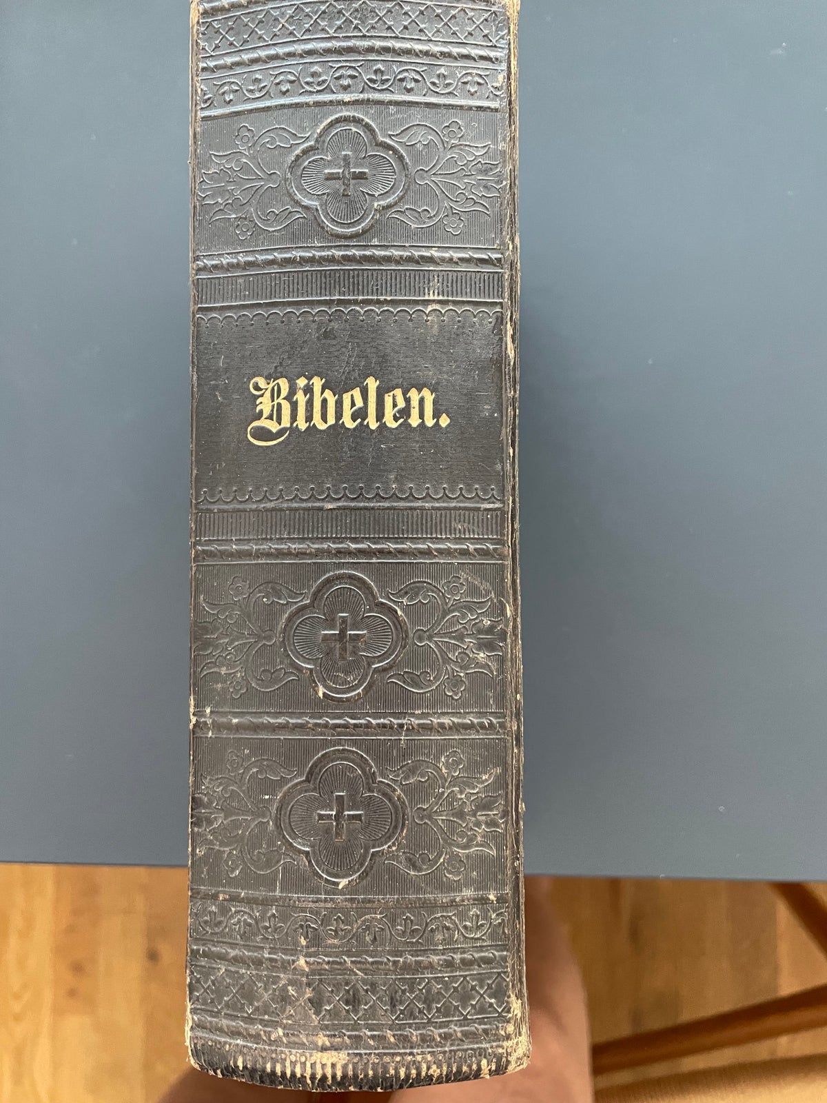 Bibelen, Bibelselskabet for Danmark, år 1889