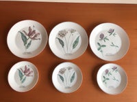 Porcelæn, 6 tallerkener, BOTANIC Vintage Collection