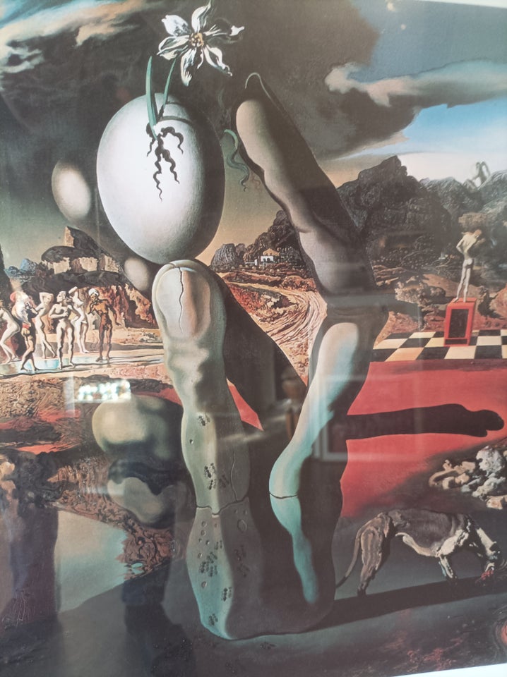 Plakat, Salvador Dali, motiv: Metamorphosis of Narcissus -