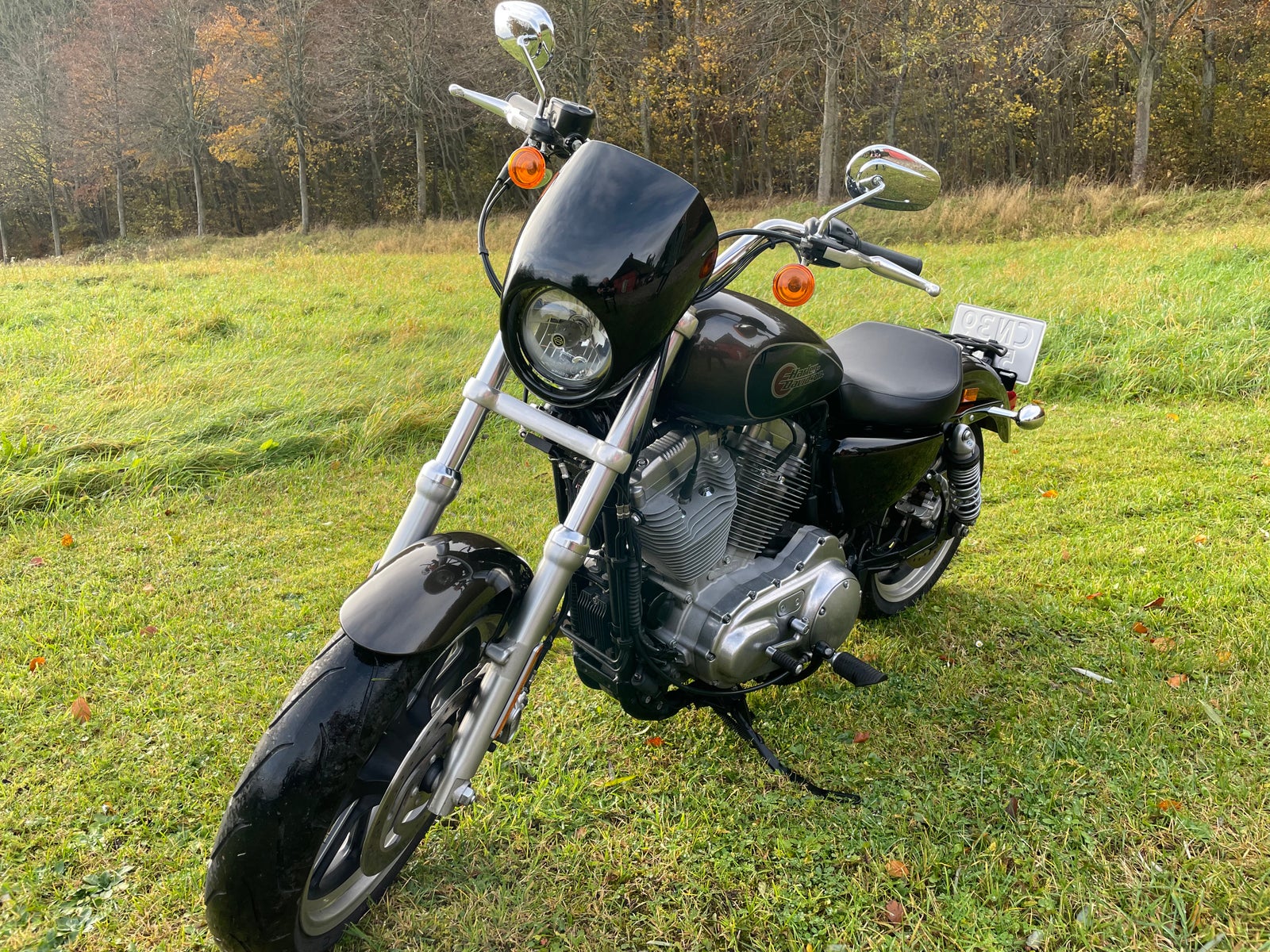 Harley-Davidson, Sportster Superlow, 883 ccm