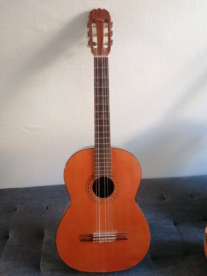 Spansk guitar, Ibanez