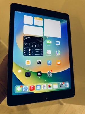 iPad Pro, 256 GB, sort, Perfekt, Fin iPad med masser af plads og kan tage simkort