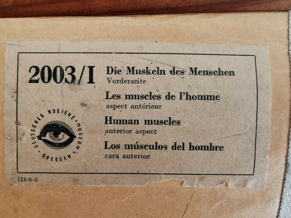 Deutsches Hygiene, Deutsches Hygiene, motiv: Menneske /