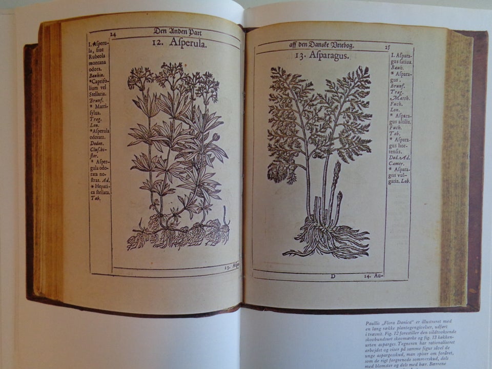 'Historien om Flora Danica'., M. Skytte Christiansen.,