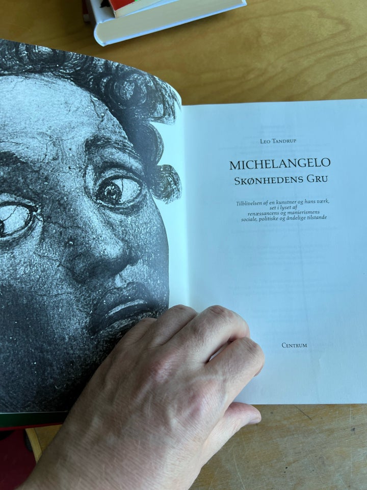 Michelangelo - skønhedens gru, Leo Tandrup , emne: kunst og