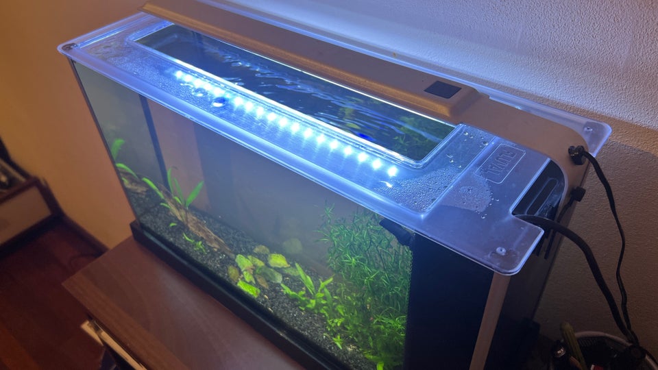 Akvarium, 19 liter, b: 52 d: 19 h: 30