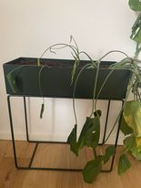 Ferm Living Plantbox, Monstera, Vi sælger en Ferm Living Plantbox som kan ses på dette link: https:/