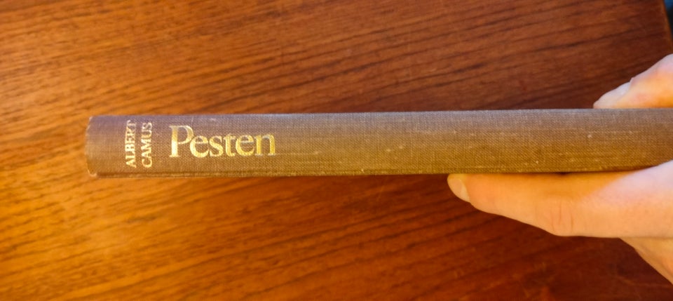 Pesten, Albert Camus, genre: roman