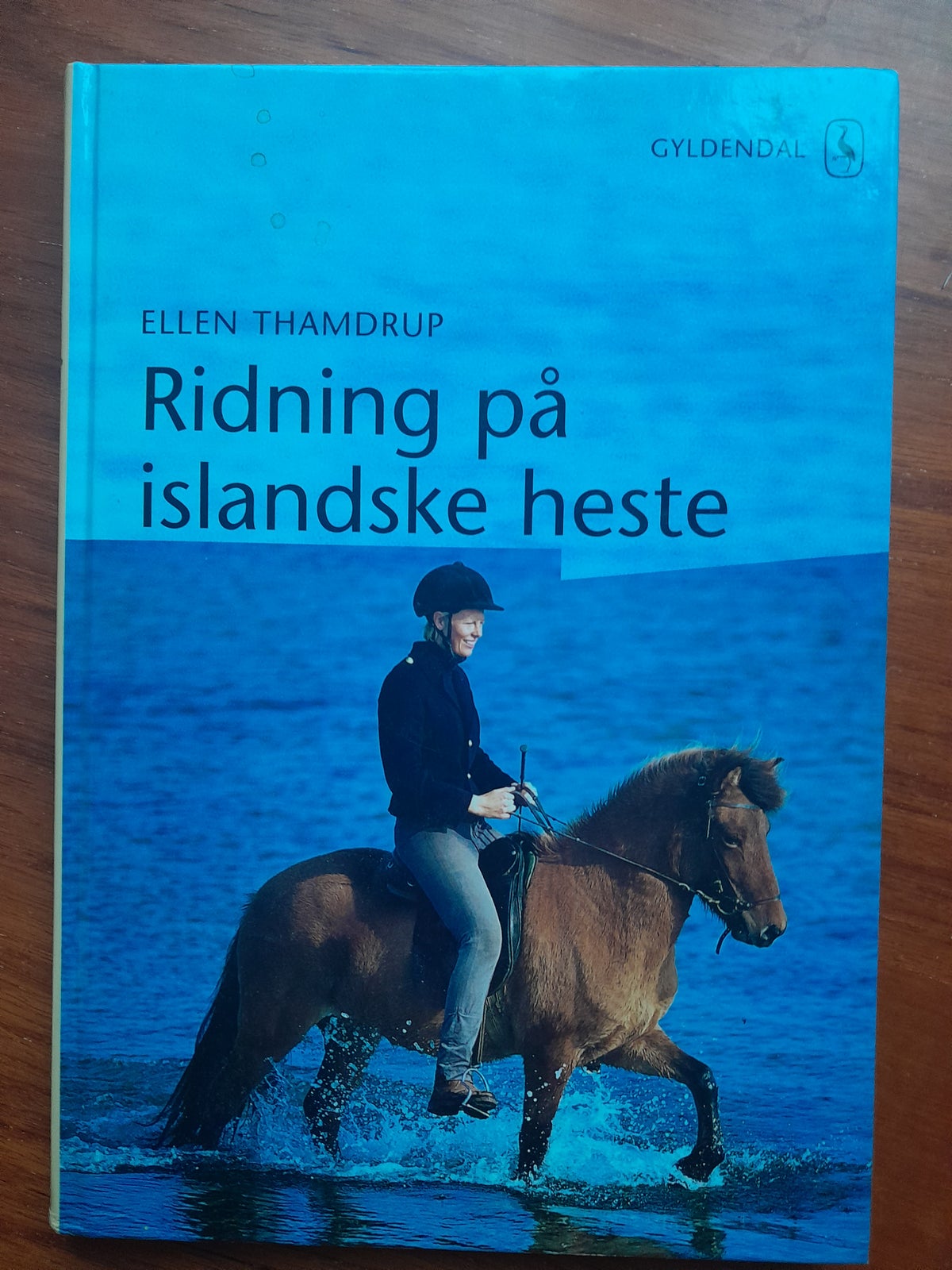 Ridning på islandske heste, Ellen Thamdrup, emne: dyr