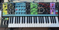 Synthesizer, Moog Matriarch