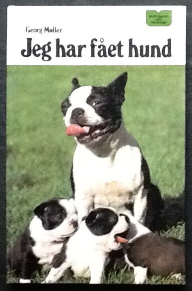 Arrowhead at tilføje teenagere Jeg har fået hund, Georg Møller, emne: dyr – dba.dk – Køb og Salg af Nyt og  Brugt