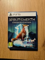 Spirit Of The North, PS5, puzzle