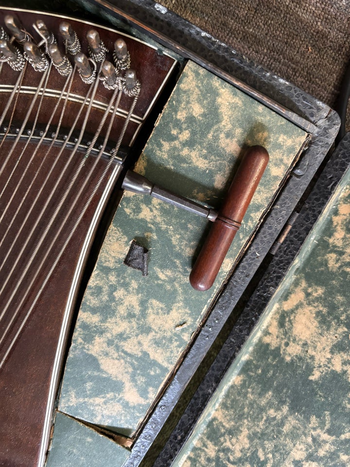 Zither / Citer, Ukendt