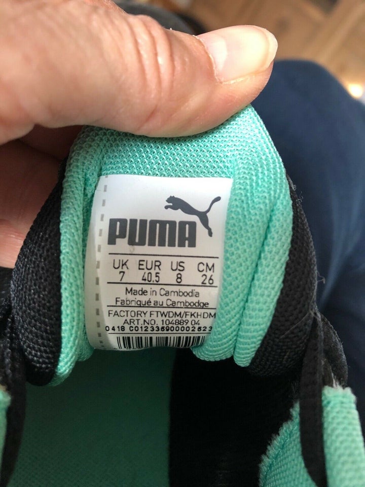 Kondisko, str. 40, Puma