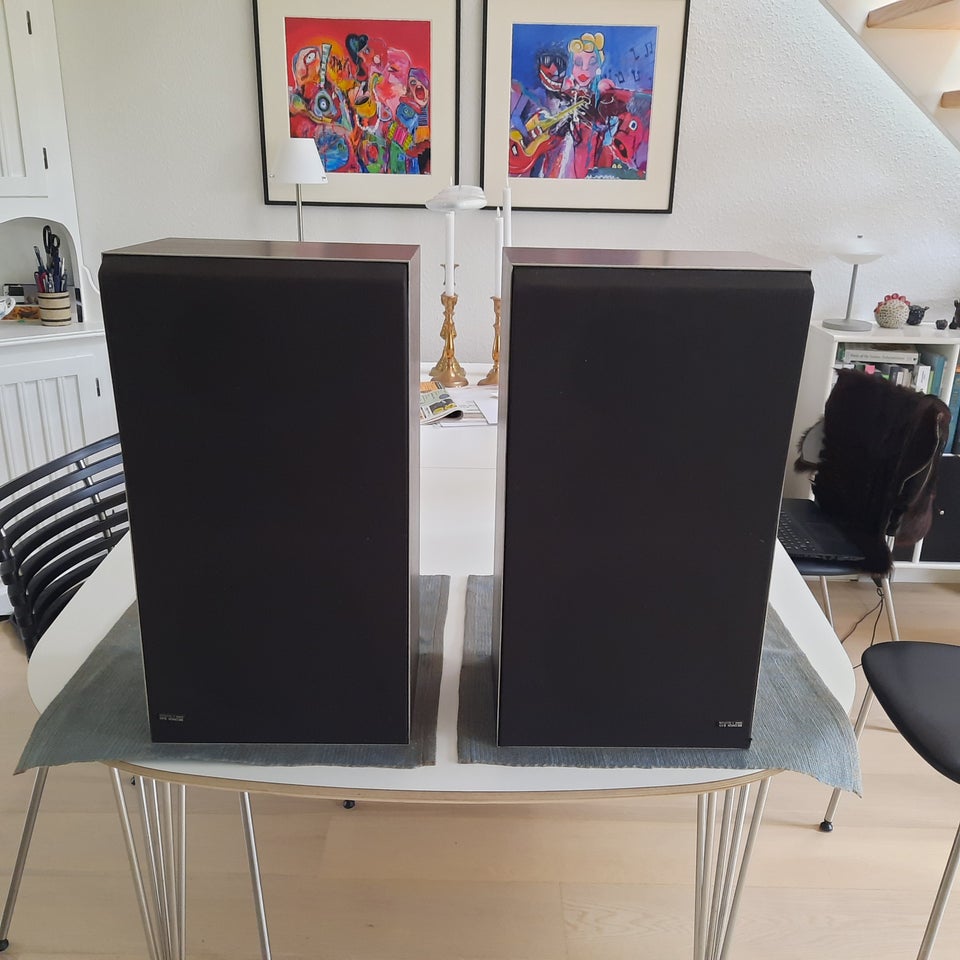 Højttaler, Bang & Olufsen, Beovox S 45-2