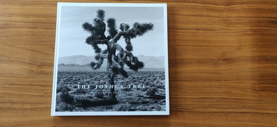 The Jushua Tree, The Edge, emne: musik
