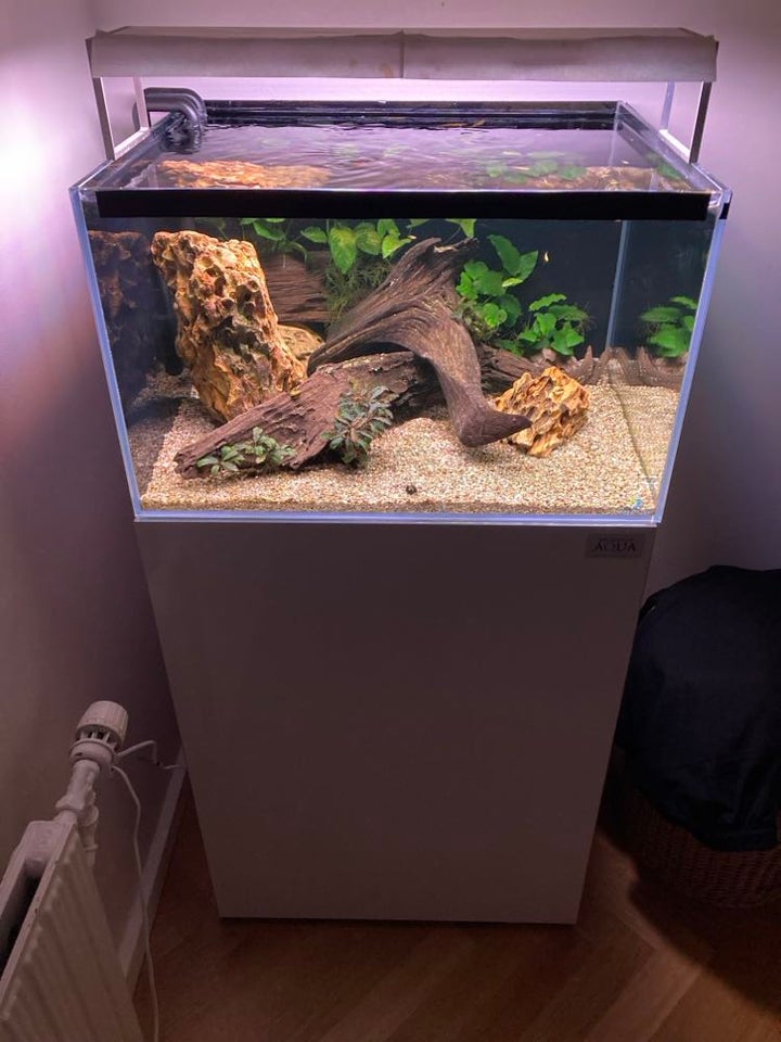 Akvarium, 108 liter, b: 60 d: 50 h: 36