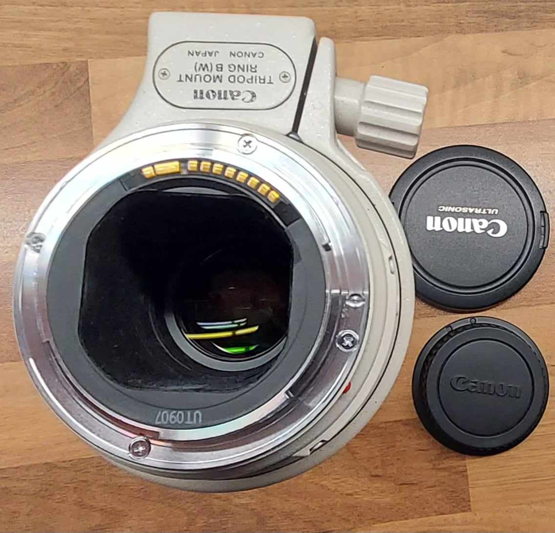 Canon, 300 mm 4L IS, spejlrefleks