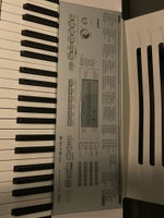 Keyboard, Casio LK-280