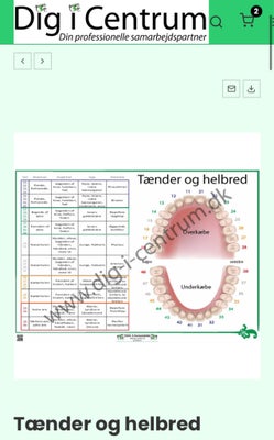 Planche, Tænder og helbred, Lamineret størrelse A3. Ny, Har fået et lille knæk - se foto. Jeg har 2 