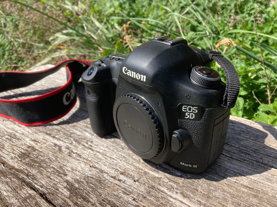 Canon, 5D mark III, 22 megapixels