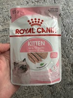 Kattefoder, Vådfoder royal canin kitten mousse