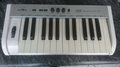 esi keycontrol 25