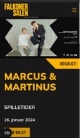 Marcus og Martinus, Koncert, Falconer