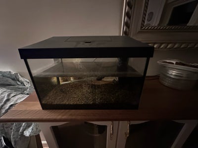 Akvarium, 54 liter, Akvarium med lys filter og masse andre pynt