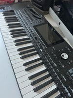 Keyboard, Korg pa5x