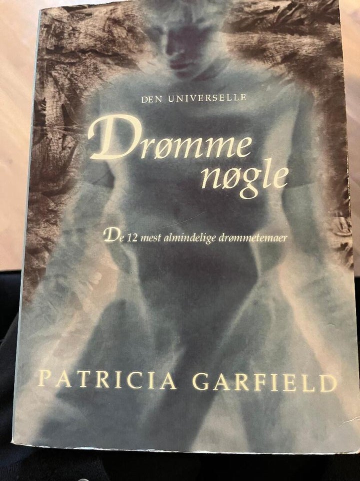 Den universelle drømmenøgle, Patricia Garfield, emne: