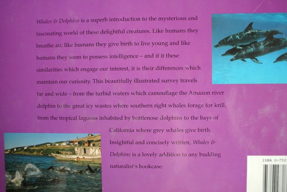 whales and dolphins - diving into a mysterious oce, Af john