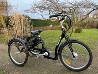Handicapcykel, El Amladcykel, 73 gear