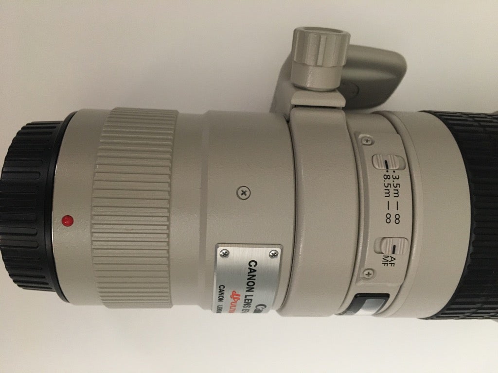 Prime, Canon, 400mm f/5.6 L USM with Lens LZ113