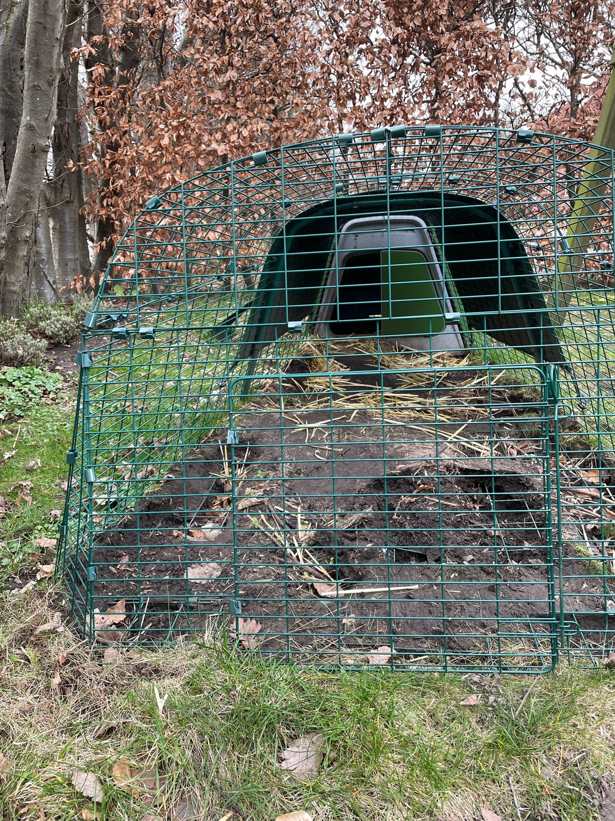 Omlet eglu kaninbur med løbegård , b: 126 d: 240 h: 80