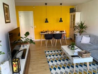 Cozy apartment in Nørrebro!