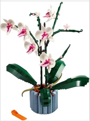Lego andet, Orkide blomst