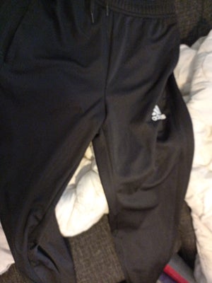 Find Adidas Bukser på DBA - køb og salg nyt brugt