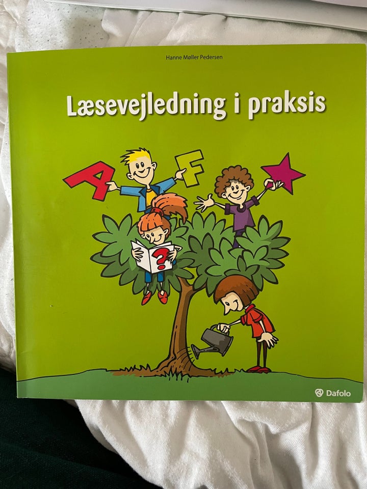 Læsevejledning i praksis, Hanne Møller Pedersen, emne: