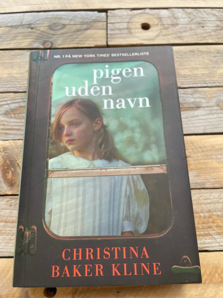 Pigen uden navn, Christina Baker Kline, genre: roman