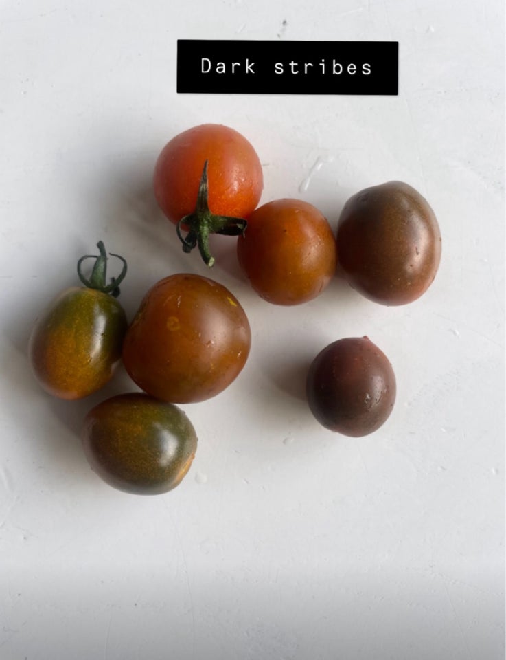 Tomater, Forskellige sorter