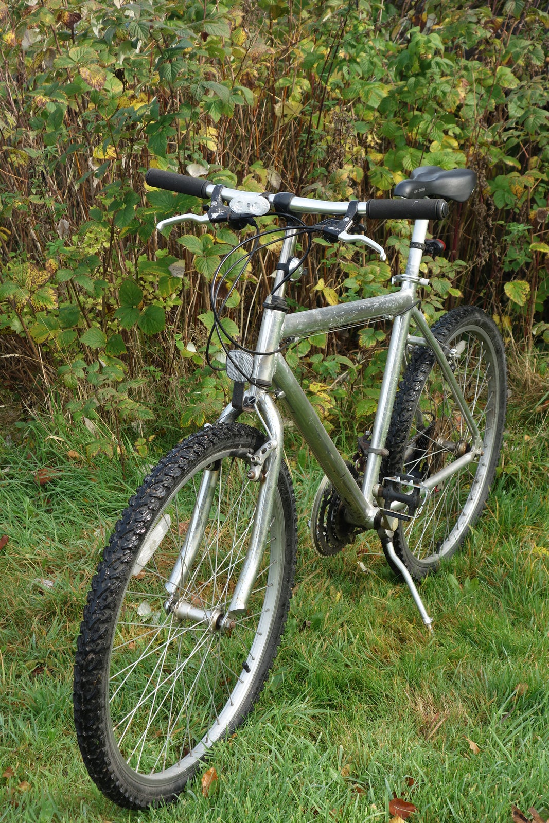 Raleigh Vintage, hardtail, 26 tommer