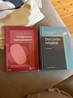 Civilproces , Ulrik Rammerskow Bang-Pedersen