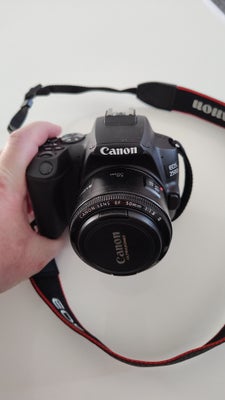 Canon, Canon EOS 250 D, spejlrefleks, 24 megapixels, Perfekt, Meget velholdt Canon 250 D - Lækkert k