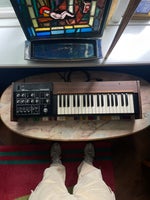 Synthesizer, Roland SH-1000