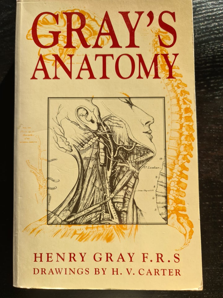 Gray's Anatomy, Henry Gray