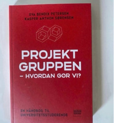 Projektgruppen - Hvordan gør vi?, Eva Bendix Petersen & Kasper Anthon Sørensen, år 2019, 1. Udgave u
