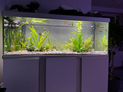 Akvarium, 576 liter, b: 160, Hejsa jeg sælger desværre mit flotte Akvastabil fusion 586liters akvari