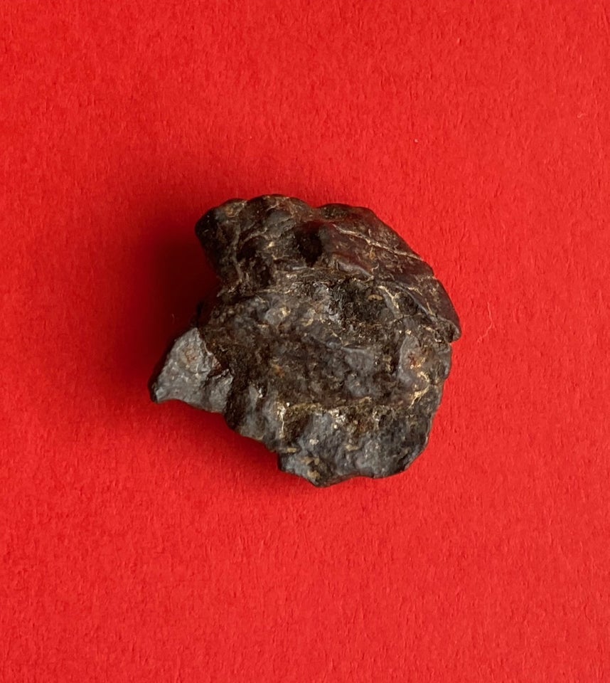 Fossiler, Meteorit