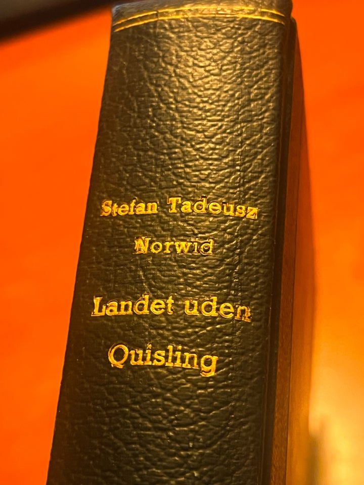 Landet uden Quisling, Stefan Tadeusz Norwid, genre: roman